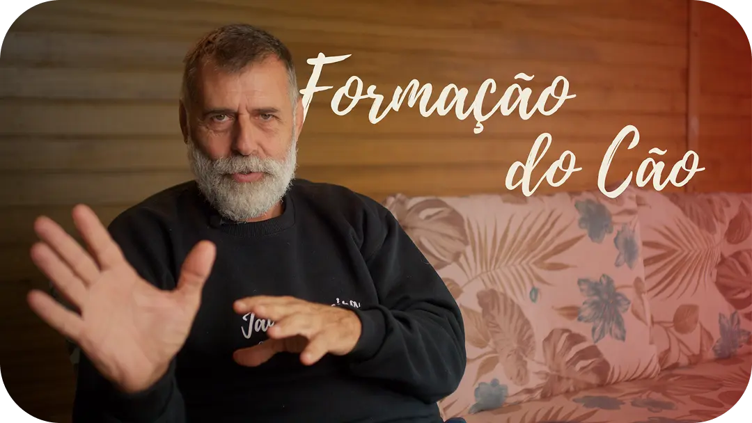 cc 1